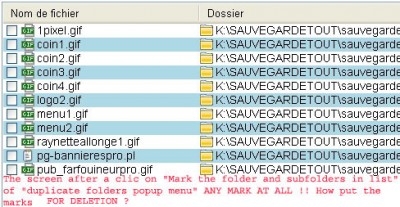 deux_dcp.jpg
