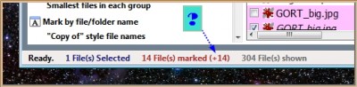 Version 4.1.0 Duplicate Files status-bar