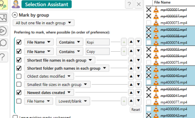 Duplicate finder selection 2025-01-07 130259.png